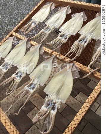 Dried squid Dried squid 115902975