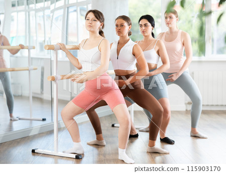 Group of sports young girls standing in row together while doing ballet dance moves demi plie while holding on ballet barre in ballet studio 115903170