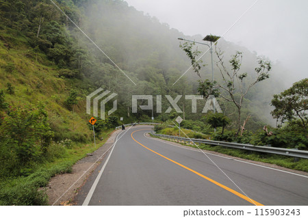 Pusuk Forest Highway, Sembalun tourist spot, East Lombok Pusuk Forest Highway, Sembalun tourist spot, East Lombok 115903243
