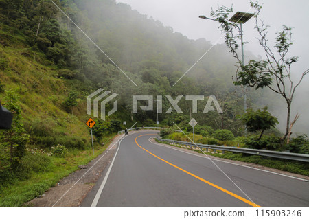Pusuk Forest Highway, Sembalun tourist spot, East Lombok Pusuk Forest Highway, Sembalun tourist spot, East Lombok 115903246