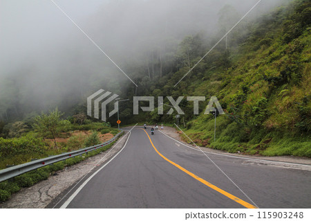 Pusuk Forest Highway, Sembalun tourist spot, East Lombok Pusuk Forest Highway, Sembalun tourist spot, East Lombok 115903248
