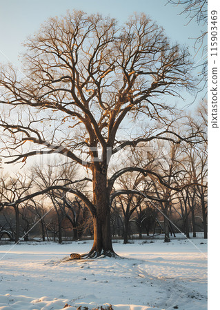 A tree without leaves, with a bare trunk and twigs, stands in the center of a snowy field under a gray sky, blending into the natural landscape with tints and shades of white 115903469