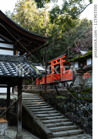 若宮春日大社 115903500