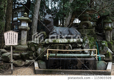 伏賀手水城春日大社 115903509