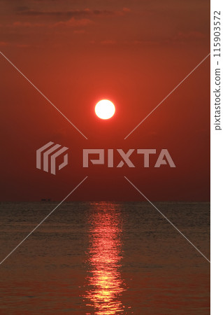 Beautiful sunrise over the sea ocean horizon line 115903572