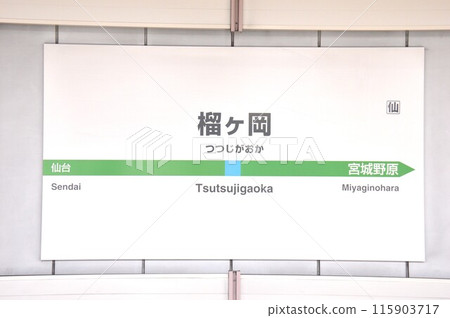 Station name sign at Tsutsujigaoka Station on the Senseki Line (Miyagino Ward, Sendai City) 115903717