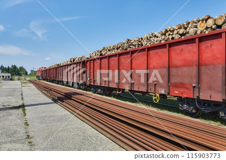 Freight Train Wagons Transporting Wood 115903773