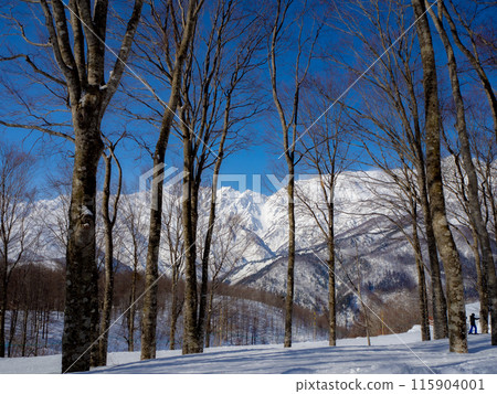 白馬岩岳雪原滑雪場風景 115904001