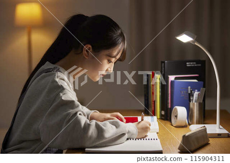 高中女生在房間裡學習入學考試 高中女生在房間裡學習入學考試 115904311