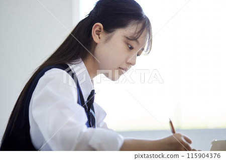 High school girls taking classes in a school classroom 115904376