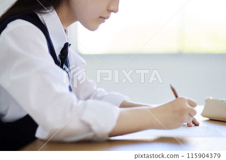 High school girls taking classes in a school classroom High school girls taking classes in a school classroom 115904379