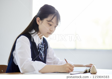 High school girls taking classes in a school classroom 115904383