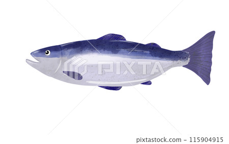 用水彩畫的鮭魚的插圖 115904915