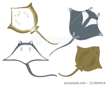 設定黃貂魚的插圖 115904918