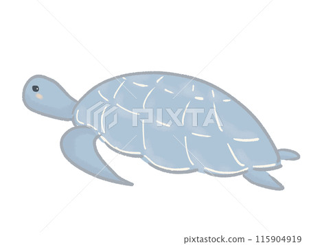 Illustration of a sea turtle looking sideways 115904919