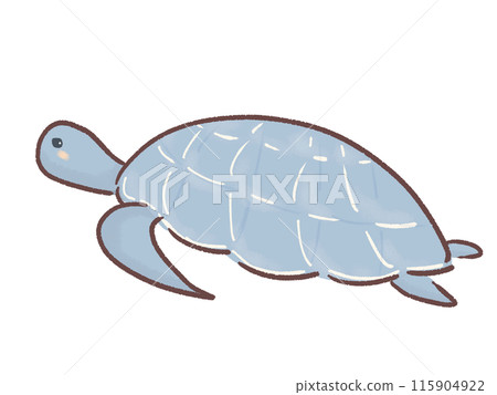 Illustration of a sea turtle looking sideways Illustration of a sea turtle looking sideways 115904922