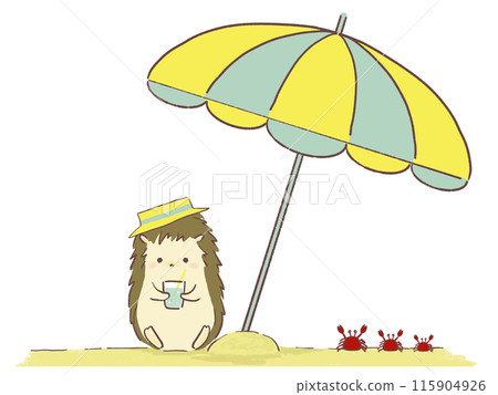 Hedgehog sitting on the beach with a drink Hedgehog sitting on the beach with a drink 115904926