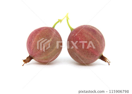 Fresh ripe gooseberries isolated on white background with detailed texture and vibrant colors 115906798