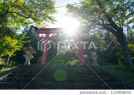 Scenery of Hida Toshogu Shrine | Tourist attraction | Photographed in June | Takayama City, Gifu Prefecture Scenery of Hida Toshogu Shrine | Tourist attraction | Photographed in June | Takayama City, Gifu Prefecture 115909656