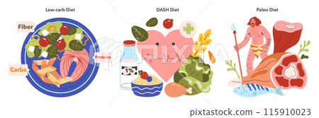 Dietary Trends set. Visual guides to low-carb, DASH, and Paleo diets with food illustrations and health symbols. Nutritional balance, healthy lifestyle concept. Vector illustration. 115910023