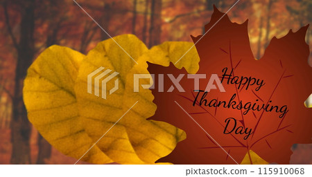 Image of happy thanksgiving day text over red and orange autumn leaves in park Image of happy thanksgiving day text over red and orange autumn leaves in park 115910068
