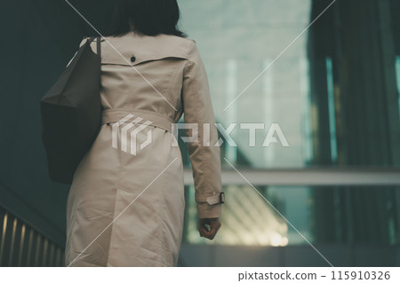 business woman, businesswoman, female 115910326