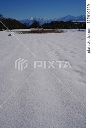 Winter scenery at Toyama Prefectural Central Botanical Garden 1 115910529