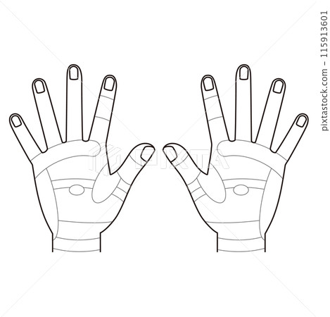 Monochrome illustration of the reflex zones on the back of the hand 115913601
