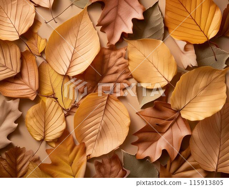 A carpet of autumn colors 115913805