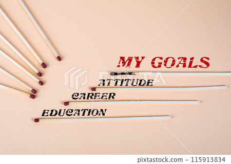MY GOALS Concept. Matches on a light background 115913834