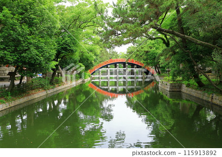 Sumiyoshi Taisha Bridge 115913892