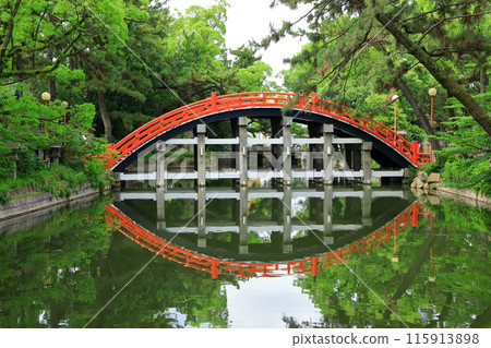 住吉泰莎橋 115913898