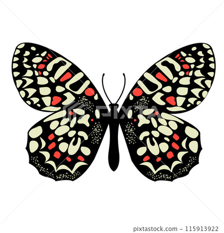 Black and White Butterfly with Red Spots on White Background. Moth and Butterfly Colorful Silhouette Art. Abstract Nature Design for Summer Wedding Decor. . Vector illustration Black and White Butterfly with Red Spots on White Background. Moth and Butterfly Colorful Silhouette Art. Abstract Nature Design for Summer Wedding Decor. . Vector illustration 115913922