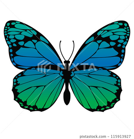 Blue and Green Butterfly Fluttering on a White Background. Moth Colorful Silhouette Design. Elegant Summer Wedding Decor. Exotic Butterfly Wings Printable Art. Vector illustration Blue and Green Butterfly Fluttering on a White Background. Moth Colorful Silhouette Design. Elegant Summer Wedding Decor. Exotic Butterfly Wings Printable Art. Vector illustration 115913927