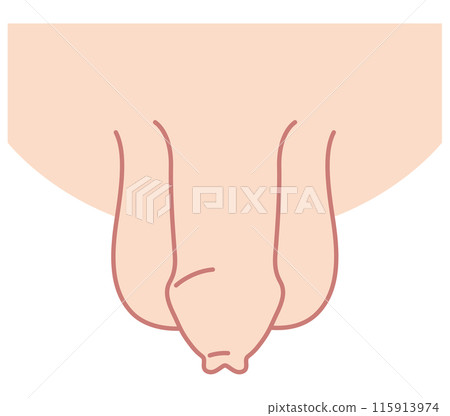 Uncircumcised male genitalia medical Uncircumcised male genitalia medical 115913974
