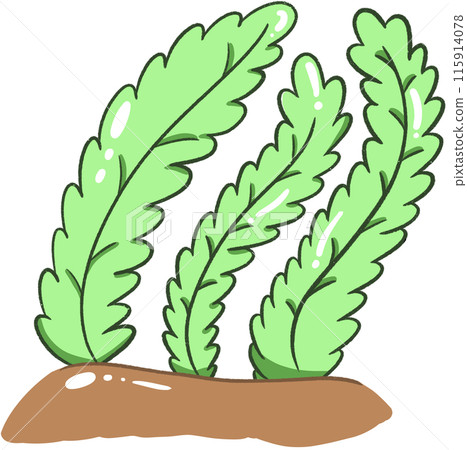 seaweed 115914078