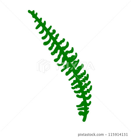 Get tropical vibes with this exotic leaf vector illustration, perfect for eco labels and natural packaging. Get tropical vibes with this exotic leaf vector illustration, perfect for eco labels and natural packaging. 115914131