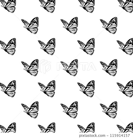 Pattern of Black and White Butterflies on White Background. Monochrome Minimalistic Flight. Lepidoptera Botanical Harmony. Wedding Decor. Ethereal Wings Overlay. Vector illustration 115914157