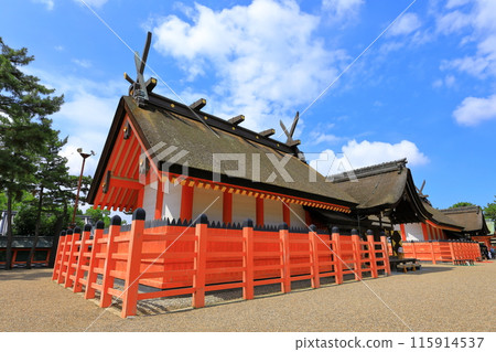 住吉大社國寶「住吉造」正殿 住吉大社國寶「住吉造」正殿 115914537