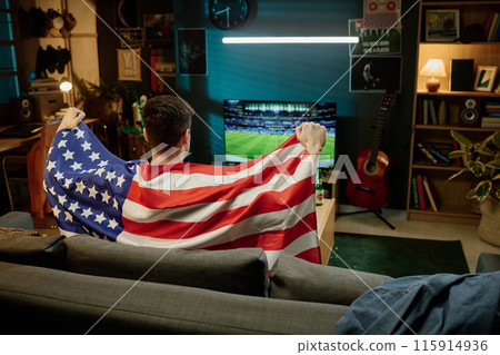 Rear view of unrecognizable man with flag sitting on couch watching sports event on TV in evening Rear view of unrecognizable man with flag sitting on couch watching sports event on TV in evening 115914936