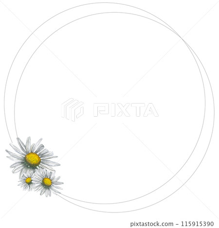 Round frame of watercolor daisies. Hand drawn, isolated on white background 115915390