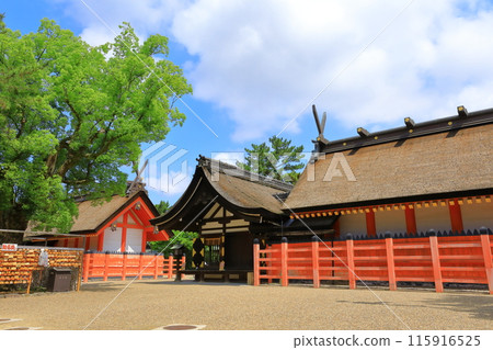 Sumiyoshi Taisha Shrine - National Treasure "Sumiyoshi-style" Main Hall Sumiyoshi Taisha Shrine - National Treasure "Sumiyoshi-style" Main Hall 115916525