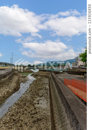 日奈久溫泉週邊的運河風景「運河上盛開的日奈久三角梅路」(八代市日奈久町) 日奈久溫泉週邊的運河風景「運河上盛開的日奈久三角梅路」(八代市日奈久町) 115916850