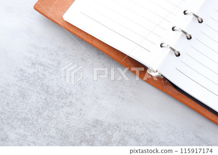 Image of a ring-type system organizer being opened and writing a diary 115917174