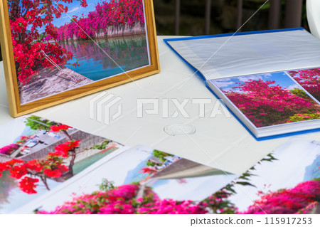 Exhibition and information venue: Hinagu Bougainvillea Road in full bloom along the canal (Hinagu Town, Yatsushiro City) Exhibition and information venue: Hinagu Bougainvillea Road in full bloom along the canal (Hinagu Town, Yatsushiro City) 115917253