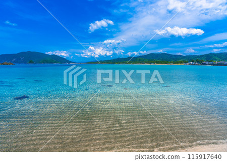 京都，丹後半島，初夏的海岸風光 115917640