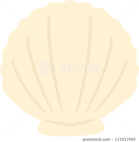 貝殼或貝殼插圖素材,白色貝類 貝殼或貝殼插圖素材,白色貝類 115917995