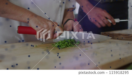 Image of dots forming dna helix over cropped hands of chef cutting vegetable over cutting board Image of dots forming dna helix over cropped hands of chef cutting vegetable over cutting board 115918295