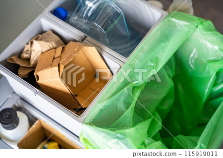 Household bins for waste sorting in the kitchen for recycle. Plastic, paper, bio and mixed waste. Sorting waste at home concept Household bins for waste sorting in the kitchen for recycle. Plastic, paper, bio and mixed waste. Sorting waste at home concept 115919011