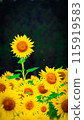 Floating sunflower 115919583